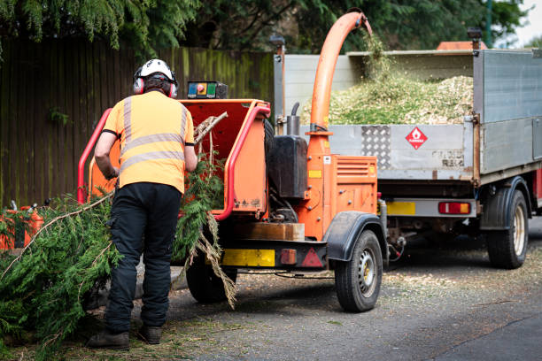 Best Dead Tree Removal  in Double Oak, TX